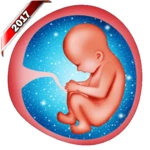 Logo of Pregnancy Baby Weekly Tracker android Application 