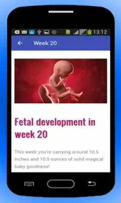 Pregnancy Baby Weekly Tracker android App screenshot 0