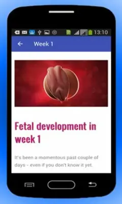 Pregnancy Baby Weekly Tracker android App screenshot 1